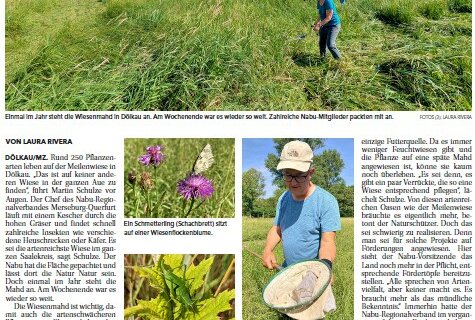 Artikelvorschau: Ein Paradies für Insekten von der Mitteldeutschen Zeitung